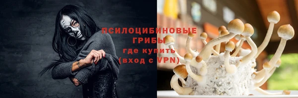 герыч Снежинск