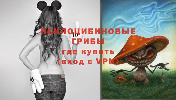 каннабис Алексеевка