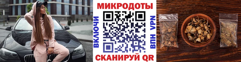 Псилоцибиновые грибы Cubensis Дедовск